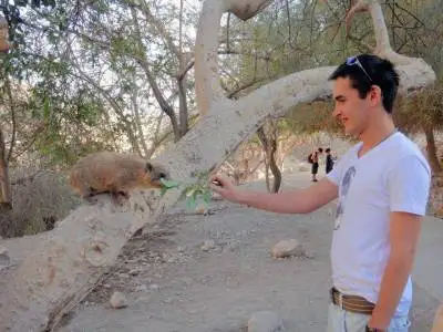 Dennis, 36חיפה 