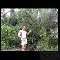 David, 44חיפה 
