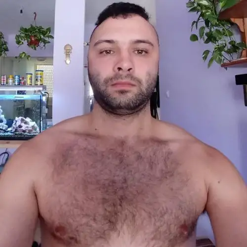 Pasha, 34חיפה 