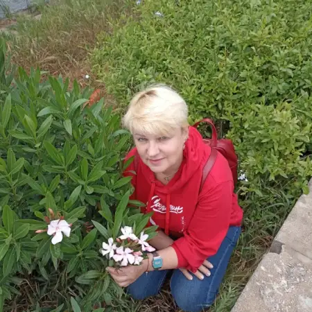 Anzhelika, 60חיפה 