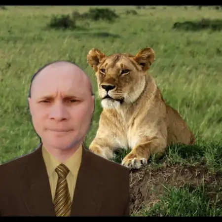 Viktor, 51אשקלון 