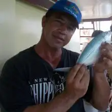 Dima, 55, חיפה - טובי אינלאב