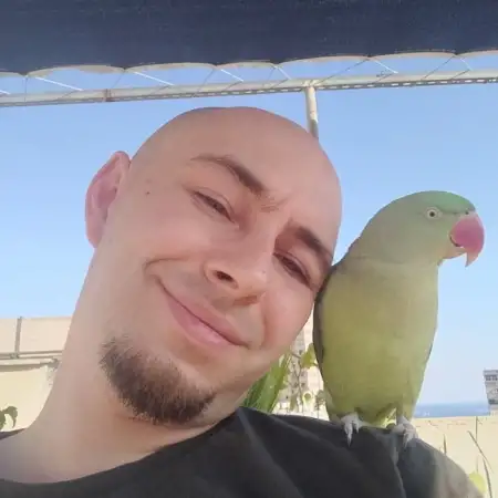 Anton, 35חיפה 