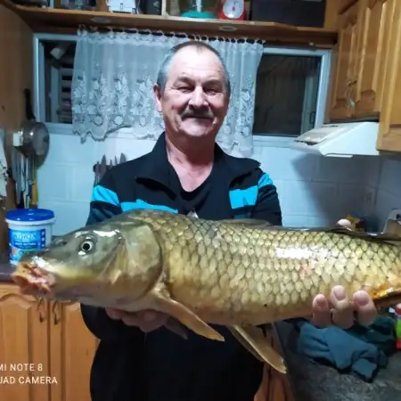 Aleksandr, 68נצרת עילית 