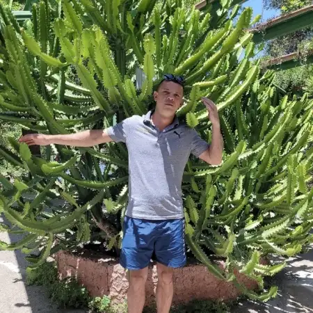 Stiv, 40חיפה 