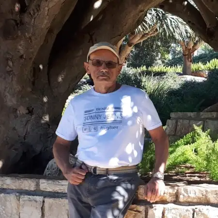 Alex, 73דימונה 