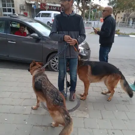 Shay, 52באר שבע 
