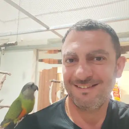 Benny, 47אשקלון 