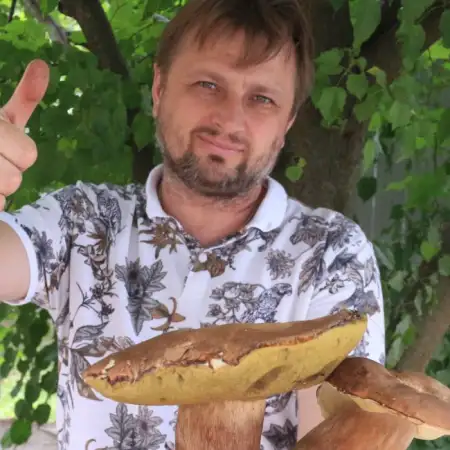 Kostya, 45אוקראינה