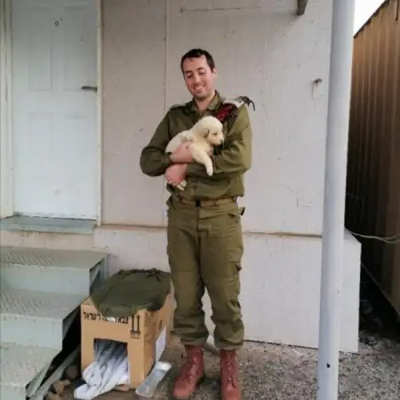 Dan, 38תל אביב 