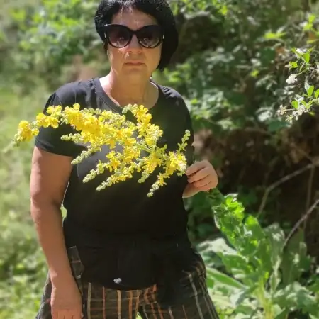 אירינה