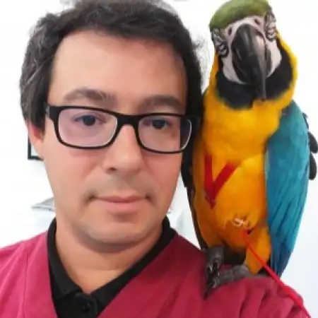 Michael, 49גרמניה 