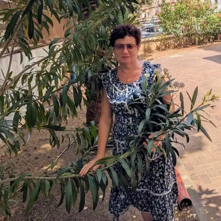 Bella, 70 חיפה