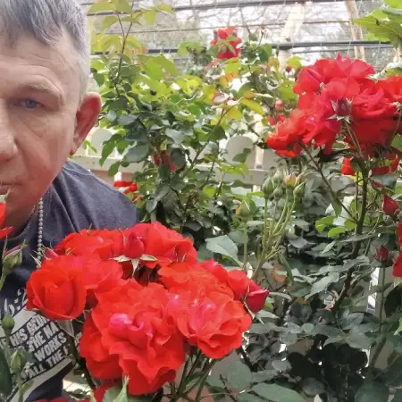 Samuel, 48נתניה 