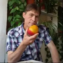 Alex, 48דימונה 