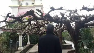 alex, 59בית שמש
