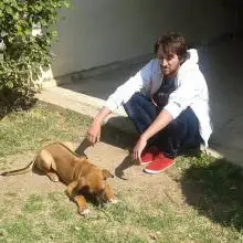 Igor, 37אשדוד 