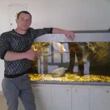 Aleksandr, 38נתניה 