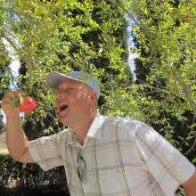 תמונה Valeriy 4 
