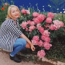 תמונה Valensiya 3 