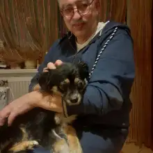 תמונה Gennadiy 2 Мой верный друг!