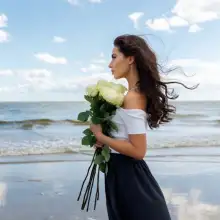 תמונה Ariel 1 