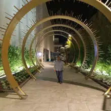 תמונה Peli 1 