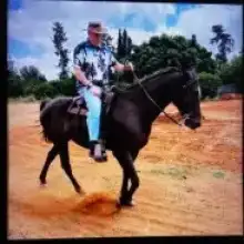 תמונה Yosi 1 