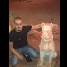 תמונה Sasha 1 