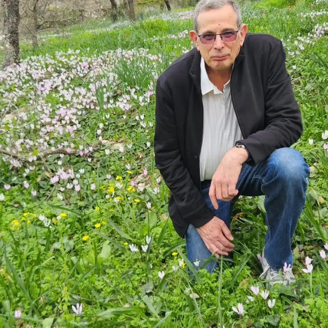 אלי, 71, חיפה - טובי אינלאב