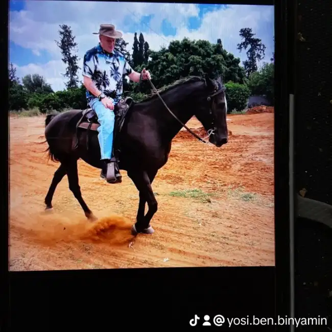 Yosi