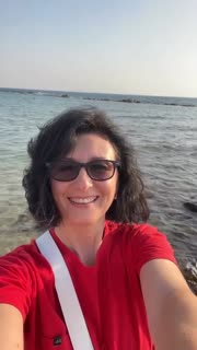 וידאו 1: תצוגה מקדימה